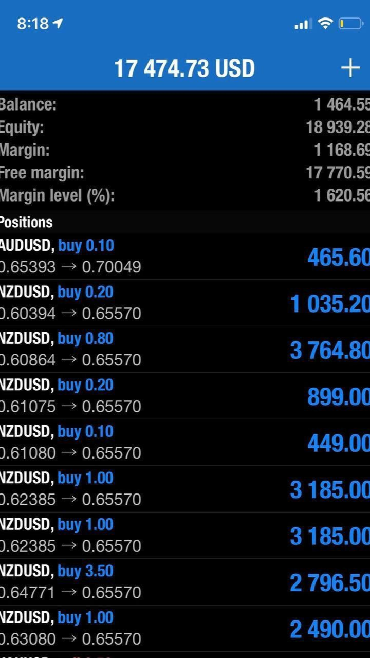 Design sem nome (53)